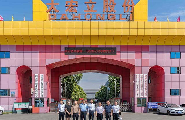 中國砂石協會領導一行蒞臨大宏立股份調研指導